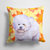 14 in x 14 in Outdoor Throw PillowBichon Frise Fall Fabric Decorative Pillow