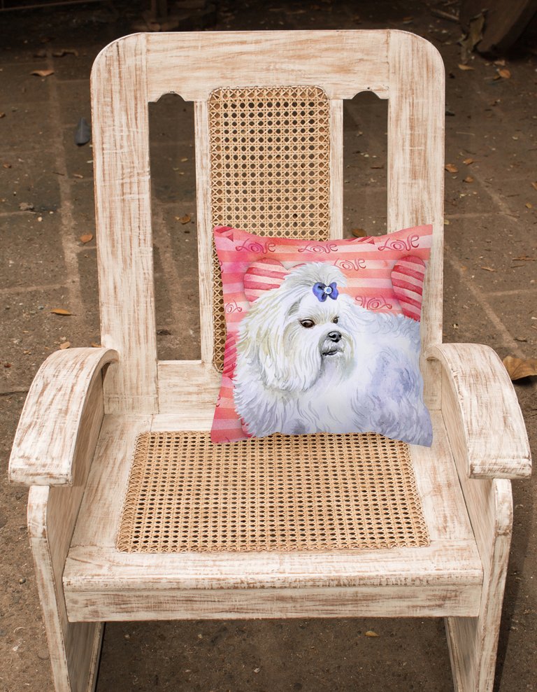 14 in x 14 in Outdoor Throw PillowMaltese Love Fabric Decorative Pillow