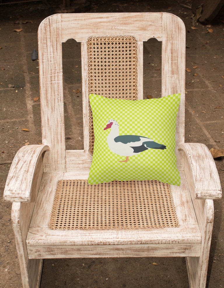 14 in x 14 in Outdoor Throw PillowMuscovy Duck Green Fabric Decorative Pillow