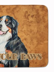 19 in x 27 in Bernese Mountain Dog Wipe your Paws Machine Washable Memory Foam Mat