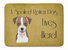 19 in x 27 in Jack Russell Terrier Spoiled Dog Lives Here Machine Washable Memory Foam Mat