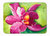 19 in x 27 in Orchid Machine Washable Memory Foam Mat