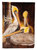28 x 40 in. Polyester Brown Pelicans Flag Canvas House Size 2-Sided Heavyweight