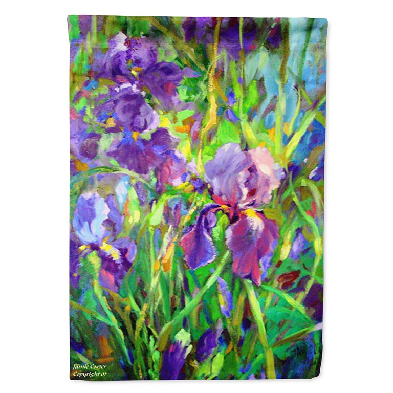 28 x 40 in. Polyester Iris by the Well Flag Canvas House Size 2-Sided Heavyweight