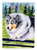 28 x 40 in. Polyester Sheltie Flag Canvas House Size 2-Sided Heavyweight