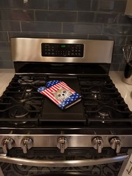 American Flag and Chihuahua Oven Mitt