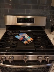 At sunset Great Dane Harlequin and Black Oven Mitt