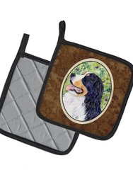 Bernese Mountain Dog Pair of Pot Holders