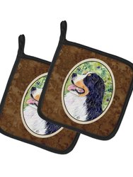 Bernese Mountain Dog Pair of Pot Holders