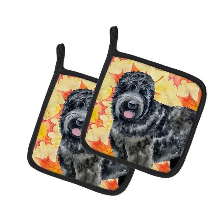 Black Russian Terrier Fall Pair of Pot Holders