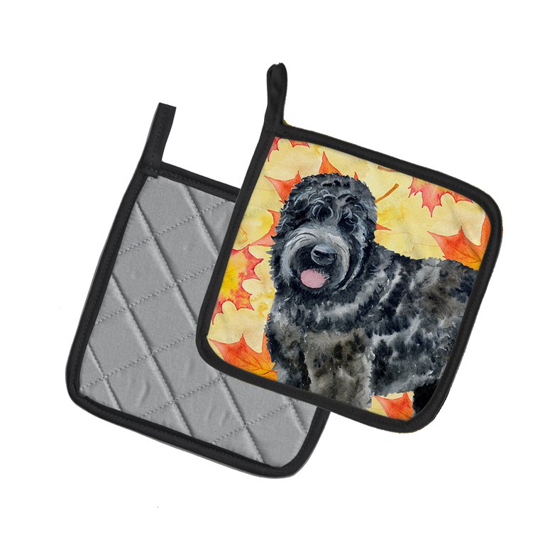 Black Russian Terrier Fall Pair of Pot Holders