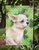 Chihuahua Leg Up St Patrick's Garden Flag 2-Sided 2-Ply