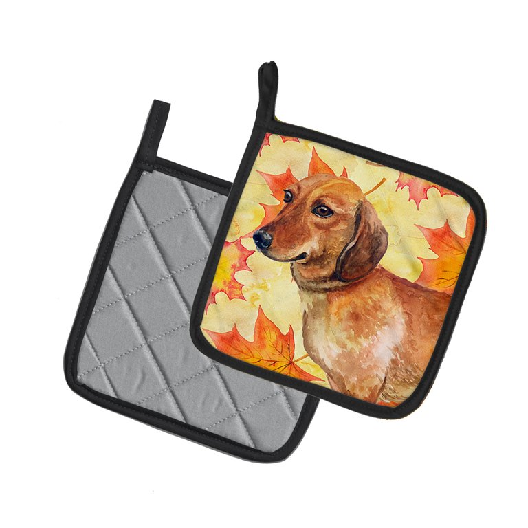 Dachshund Fall Pair of Pot Holders