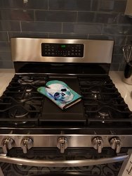 Day of the Dead Teal Skull Oven Mitt