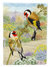 European Goldfinches Garden Flag 2-Sided 2-Ply - ASA2103GF