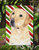 Labrador Candy Cane Holiday Christmas Garden Flag 2-Sided 2-Ply