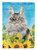 Maine Coon in Sunflowers Garden Flag 2-Sided 2-Ply