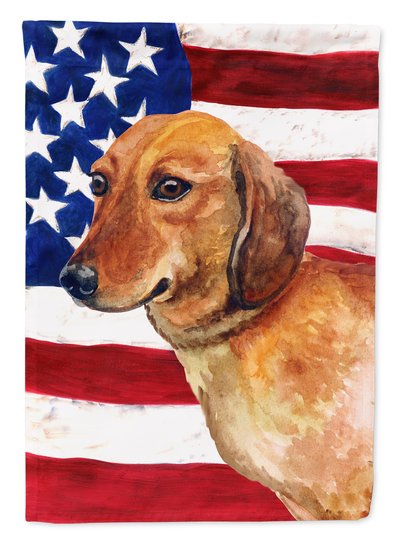 Caroline's Treasures Polyester Dachshund Patriotic Garden Flag 2-Sided 2-Ply product