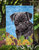 Pug In Summer Flowers Garden Flag 2-Sided 2-Ply