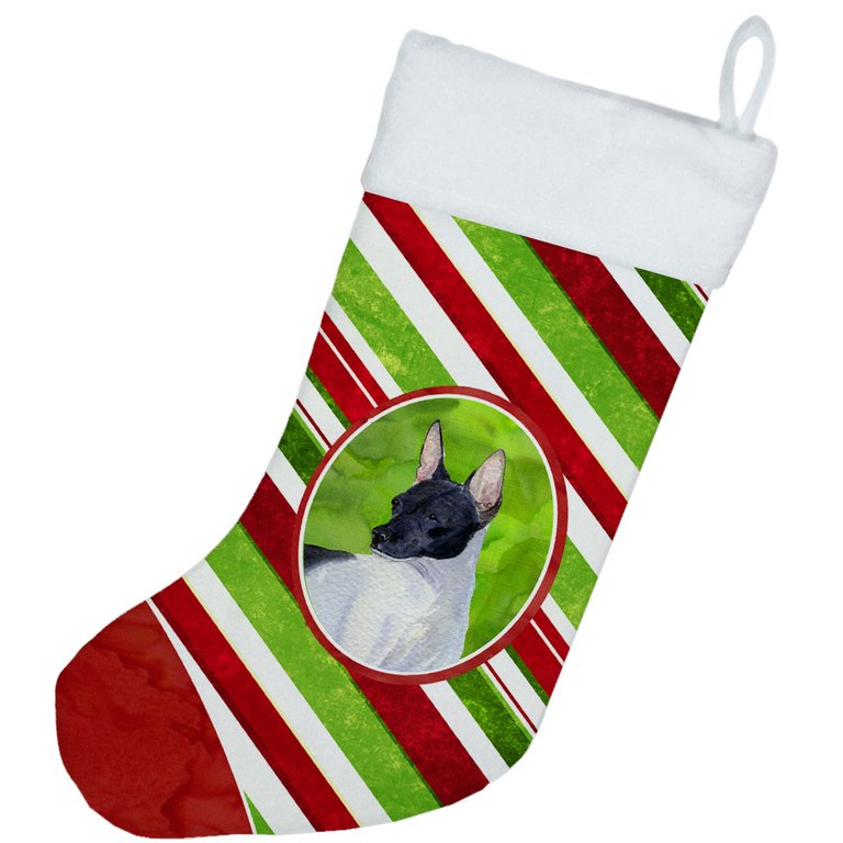 Rat Terrier Candy Cane Holiday Christmas Christmas Stocking
