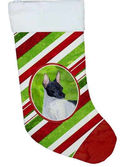 Caroline's Treasures Rat Terrier Candy Cane Holiday Christmas Christmas Stocking product