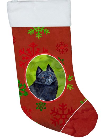 Caroline's Treasures Schipperke Red and Green Snowflakes Holiday Christmas Christmas Stocking product