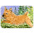 SS8910LCB Norwich Terrier Glass Cutting Board - Large