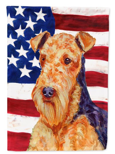 Caroline's Treasures USA American Flag With Airedale Garden Flag 2-Sided 2-Ply product