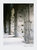 Colosseo - 11x14" Print