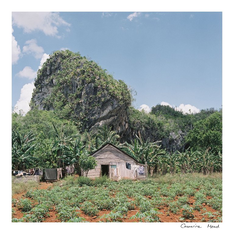 Vinales Valley Artwork Print