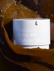 Reparative Hybrid Mask