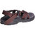 Men's Z/volv Sandal In Usonian Java