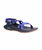 Women's Z/cloud Sandal In Pursuit Royal - Pursuit Royal