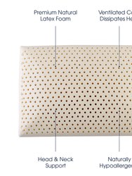 Latex Memory Foam Pillow