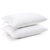 Luxury Goose Down Alternative Pillows (Set Of 2) - White