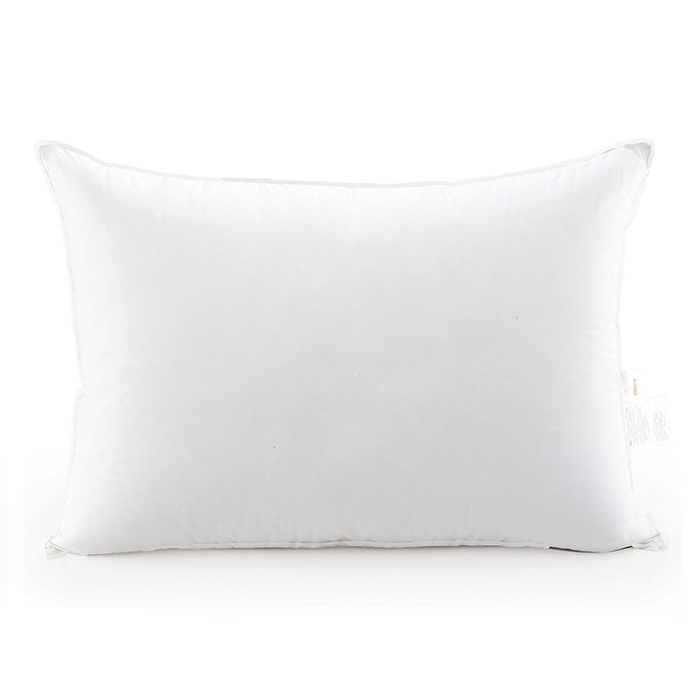 Luxury Goose Down Alternative Pillows (Set Of 2)