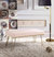 Aldelfo Bench PU Leather Upholstered Brass Finished Frame Hairpin Legs, Contemporary Modern - Blush