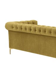 Bea Velvet Modern Contemporary Button Tufted with Gold Nailhead Trim Goldtone Metal Y-leg Sofa