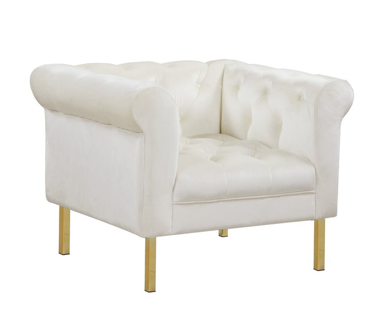 Giovanni Accent Club Chair Velvet Upholstered Button Tufted Roll Arm Design Solid Gold Tone Metal Legs