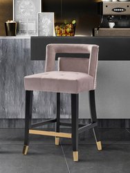 Irithel Counter Stool Chair Velvet Upholstered Nailhead Trim Half Back Seat Design Gold Tone Footrest Bar Gold Tip Tapered Wood Legs