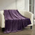 Keaton Throw Blanket Cozy Super Soft Ultra Plush Micro Mink Fleece Decorative Design - Plum