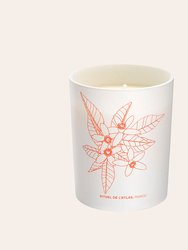 Uplifting Phyto-Aromatic Candle of Atlas