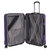 Nicci 3 piece Luggage Set Grove Collection