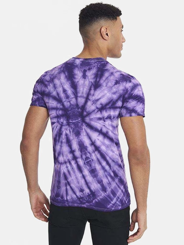 Colortone Adults Unisex Tonal Spider Shirt Sleeve T-Shirt (Spider Purple)