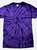 Colortone Childrens Little Boys Tonal Spider Short Sleeve T-Shirt (Spider Purple) - Spider Purple