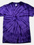 Colortone Childrens Little Boys Tonal Spider Short Sleeve T-Shirt (Spider Purple) - Spider Purple