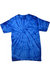 Colortone Childrens Little Boys Tonal Spider Short Sleeve T-Shirt (Spider Royal) - Spider Royal