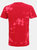 Colortone Unisex Bleached Out T-Shirt (Red)