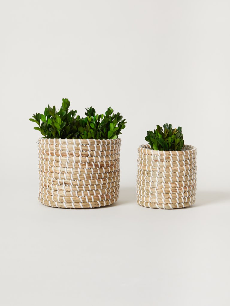 Basket Planter