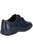 Womens/Ladies Haythrop Touch Fastening Leather Shoes - Navy/Brown